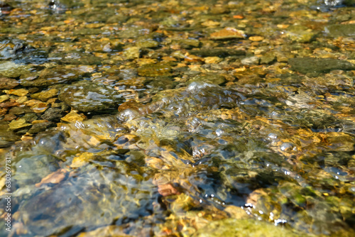 close up of stones in a river, shallow depth of field.