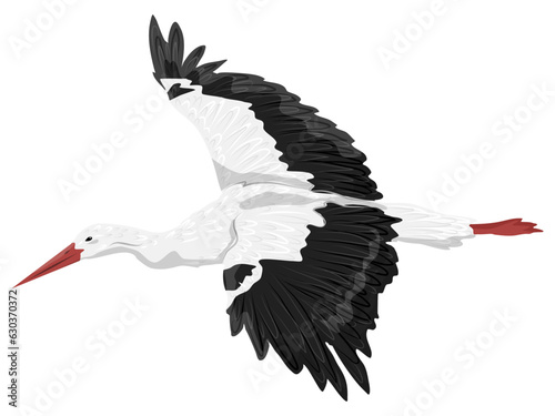 Fotografi The white stork is flying. Realistic vector bird