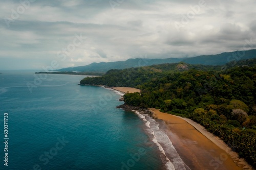 Stunning aerial view of dense forest near the ocean