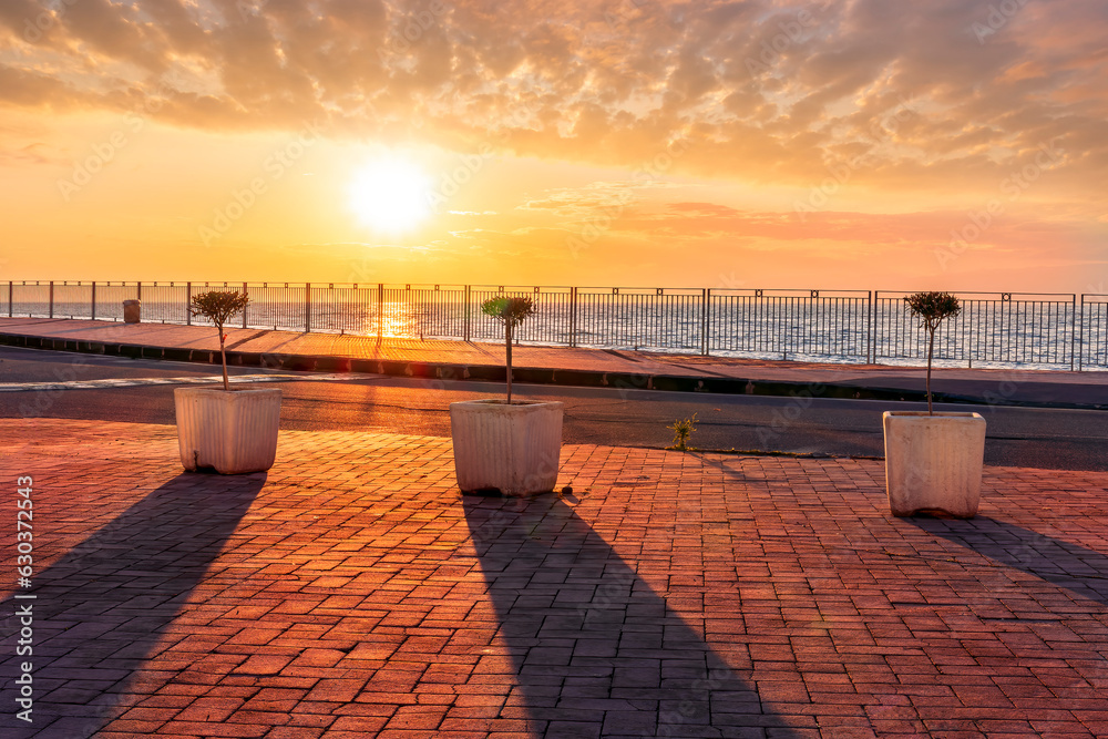 picturesque view of sunrise or sunset landscape on a sidewalk with pavement and sea promenade with three flower pots with small trees