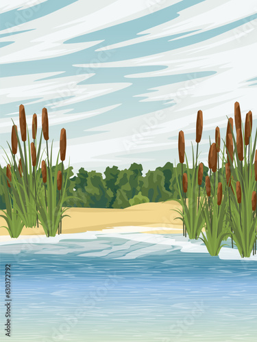 Lake shore with reeds. Sandy shore of the pond. Green dense forest on the horizon. countryside. Vector realistic vertical landscape