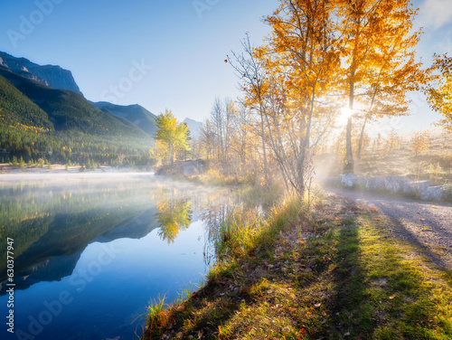 Landscape during sunrise. Autumn trees on the river bank. Sunlight through the trees. Mountains and forest. Natural landscape. Banff National Park, Alberta, Canada.