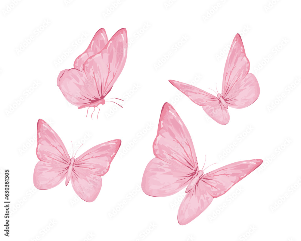 butterfly pink butterfly