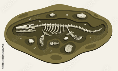 Mosasaurus Dinosaurs Archaeology Fossil Cartoon Discover in the Ground