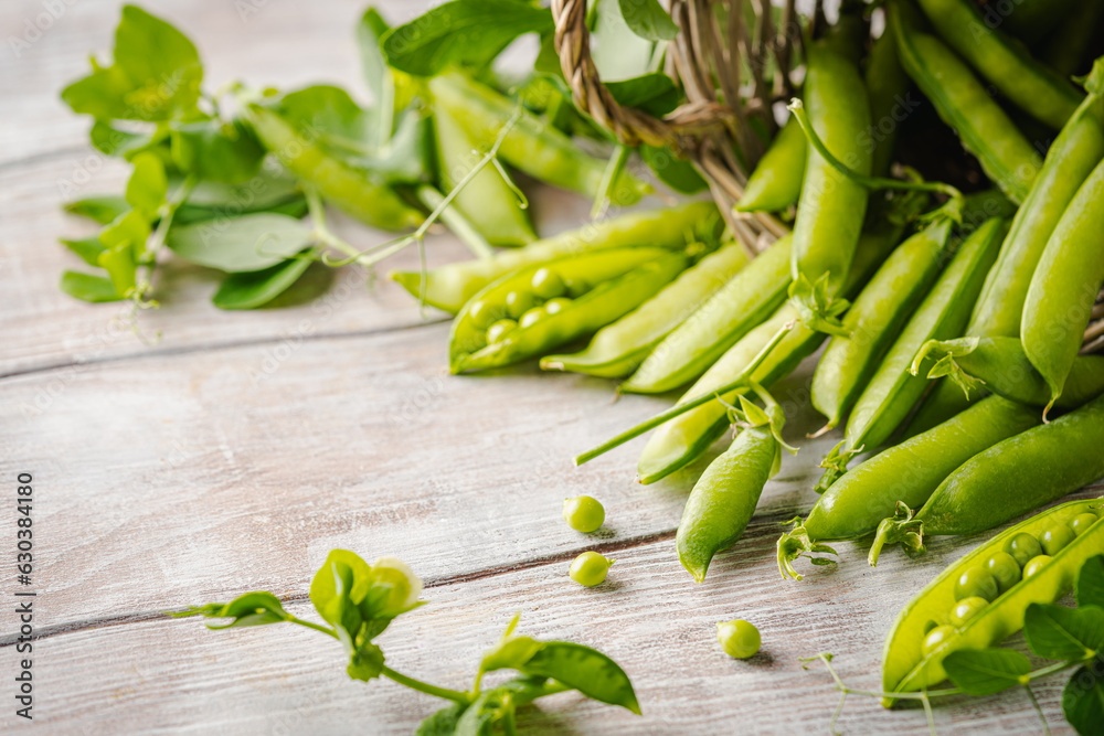 Fresh green peas in a basket with pods and leaves on white wooden table, healthy green vegetable or legume Fresh green peas in a basket with pods and leaves on white wooden table, healthy green vegetable or legume