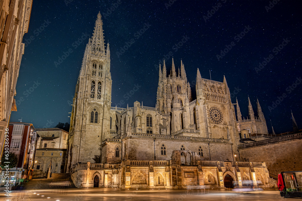 Night view with the stars of Burgos Cathedral declared a World Heritage Site by Unesco, Spain