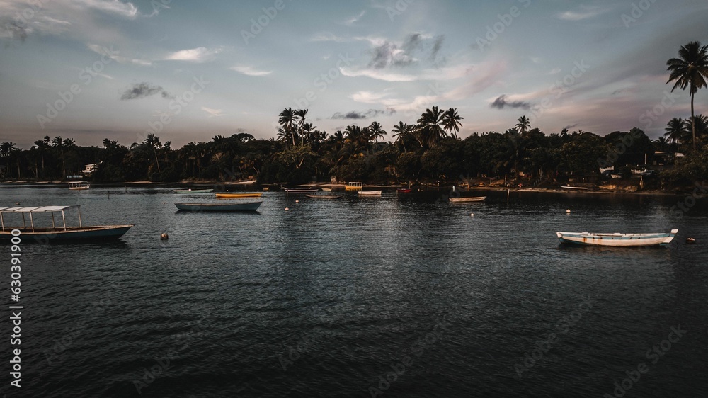 Boats in tranquil blue waters, with an array of lush green palm trees in the background.
