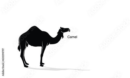 camel icon silhouette vector illustration