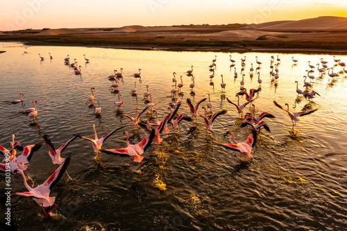 Desert scenery with saltwater lagoons full of beautiful flamingos. Namib-Nukluft National Park - Walvish Bay, Namibia