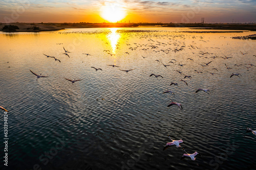 Desert scenery with saltwater lagoons full of beautiful flamingos. Namib-Nukluft National Park - Walvish Bay, Namibia photo