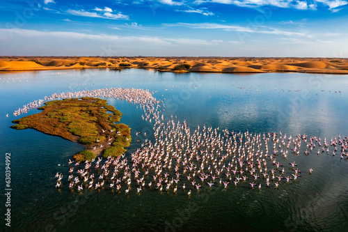 Desert scenery with saltwater lagoons full of beautiful flamingos. Namib-Nukluft National Park - Walvish Bay, Namibia photo