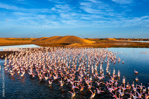 Desert scenery with saltwater lagoons full of beautiful flamingos. Namib-Nukluft National Park - Walvish Bay, Namibia