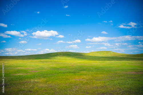 Idyllic setting of green grass and blue cloudy sky