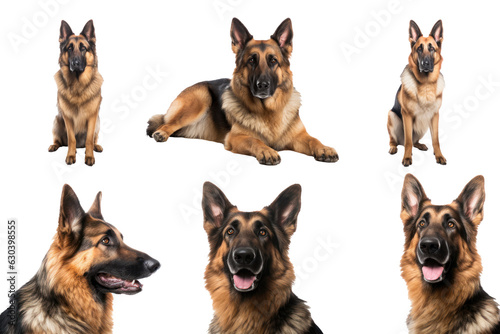Collection of different cute german shepherd dogs with brown and black fur sitting,isolated, white background, generative AI