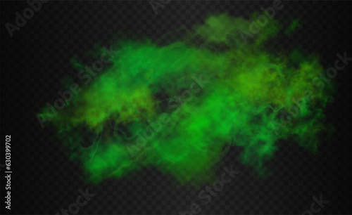 Green, lime, emerald, parakeet, pear colorful smoke cloud. Vector realistic chemical or acid mist isolated on the semi transparent dark background. photo