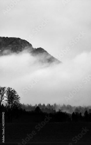 Vertical shot of misty mountains and silhouetted trees in grayscale