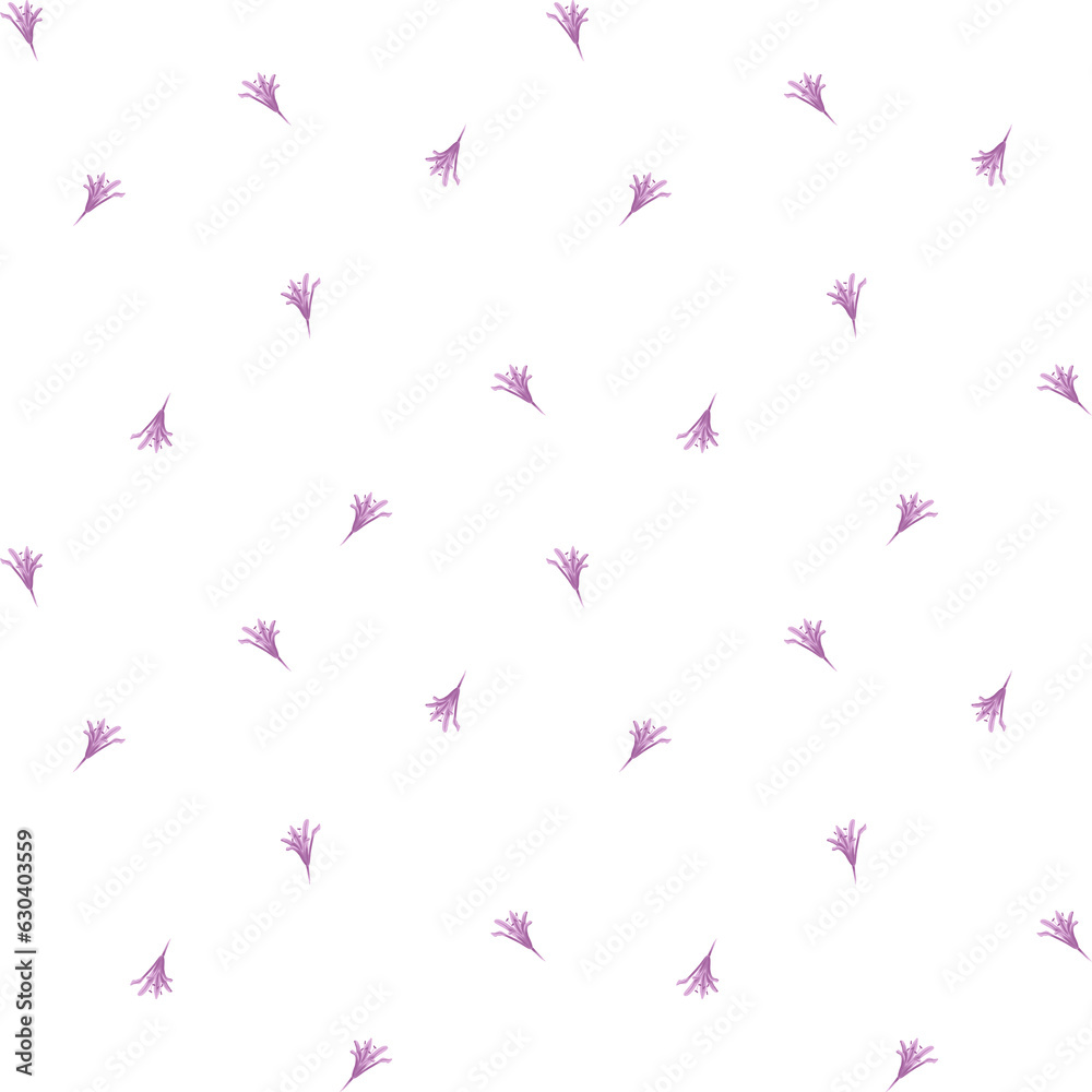 Pink lily on a white background Pink lily on a white background