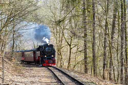 Old railway in the Harz Mountains in Germany