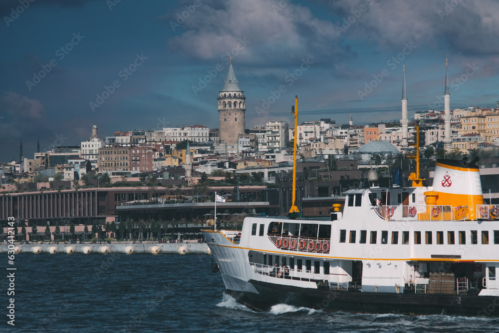Fototapeta premium view of the bosphorus strait