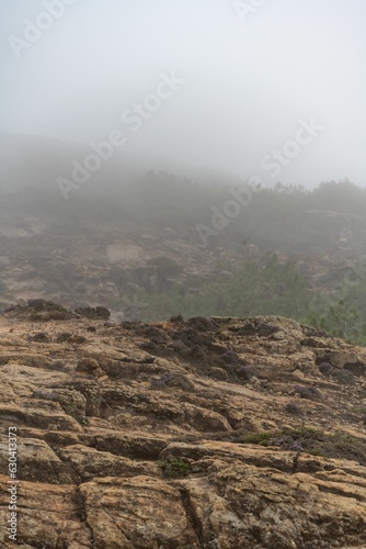 Barren desert landscape situated on the edge of a steep cliff, shrouded in a dense layer of fog