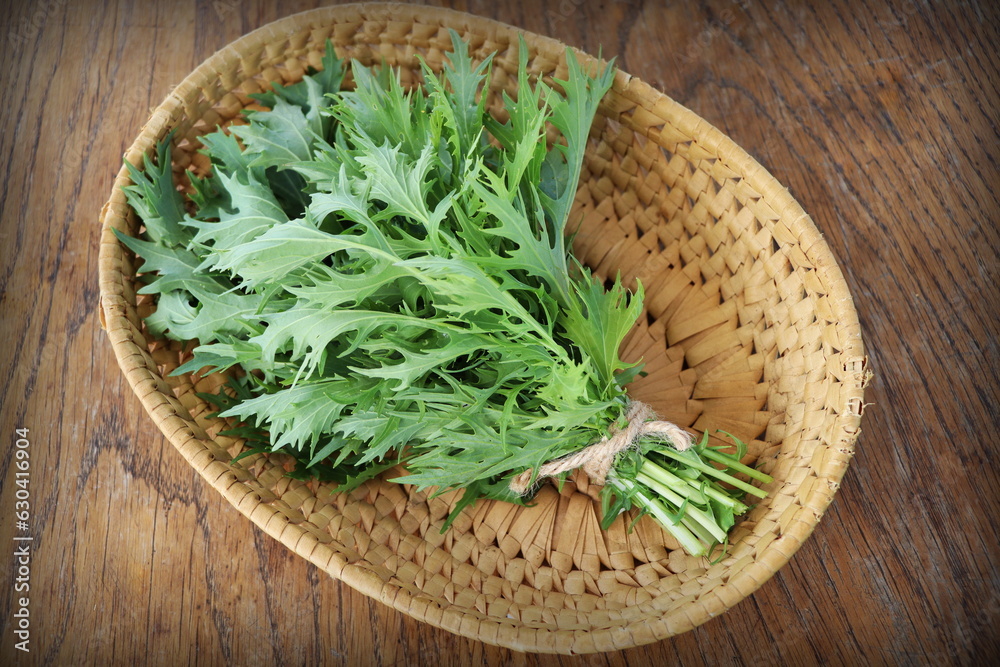 The background of green leaves of japanese mustard mizuna The background of green leaves of japanese mustard mizuna