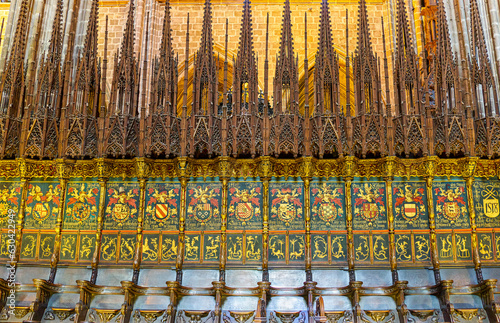 Barcelona, la Cathedraal de La Seu photo