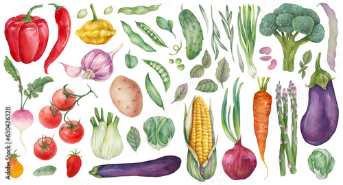 Set of various vegetables. Watercolor colorful vegetables for culinary blog, banner, social media post, as ingredients illustrations for healthy and vegetarian meals, recipes, printing.