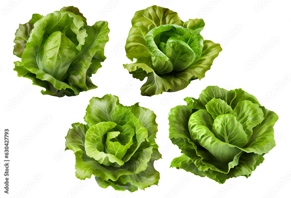 Fresh head of lettuce, full of green, crisp leaves, ideal for salads and healthy meals, isolated on a white background Ai generated image Fresh head of lettuce, full of green, crisp leaves, ideal for salads and healthy meals, isolated on a white background Ai generated image
