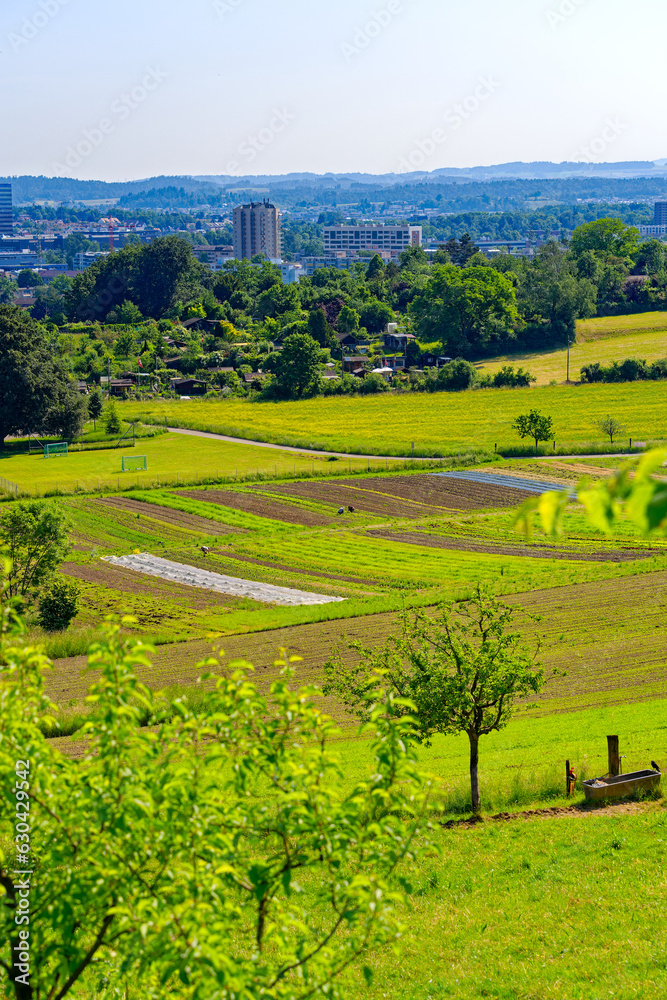 Scenic view of farmland with agriculture field and football field in the background at City of Zürich on a sunny late afternoon spring day. Photo taken June 1st, 2023, Zurich, Switzerland.