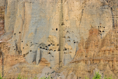 Vegetation and Flowers alongside Desert of Upper Mustang with Man Made Caves in Chhusang Village, Nepal photo