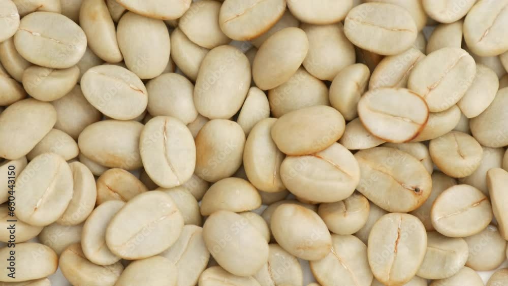 Close up of raw green coffee beans. Unroasted coffee grains ready for roasting in machine. Close up of raw green coffee beans. Unroasted coffee grains ready for roasting in machine.