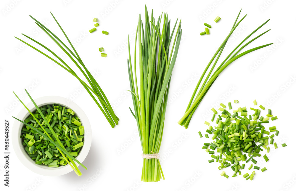 fresh green herbs: chives in a bunch, blades, chopped loose pieces, in a heap and a bowl, isolated cooking, nutrition / diet, farm or garden design elements, set / collection, cut-out transparent PNG - obrazy, fototapety, plakaty 