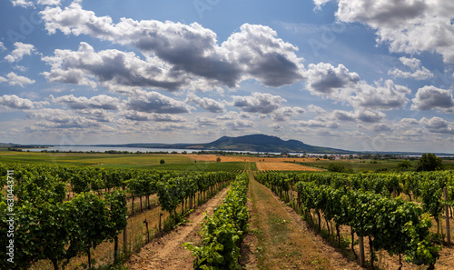 Beautiful landscape with dramatic Palava sky. Lake Musov. Vineyards and harvested grain fields. photo