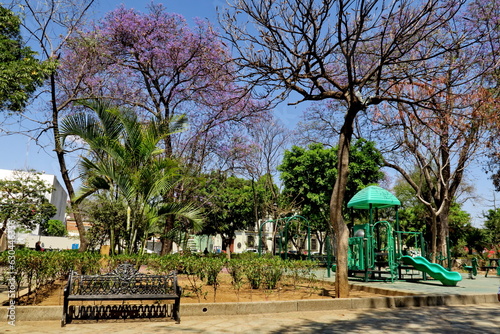 Jardin public. Mexique. photo