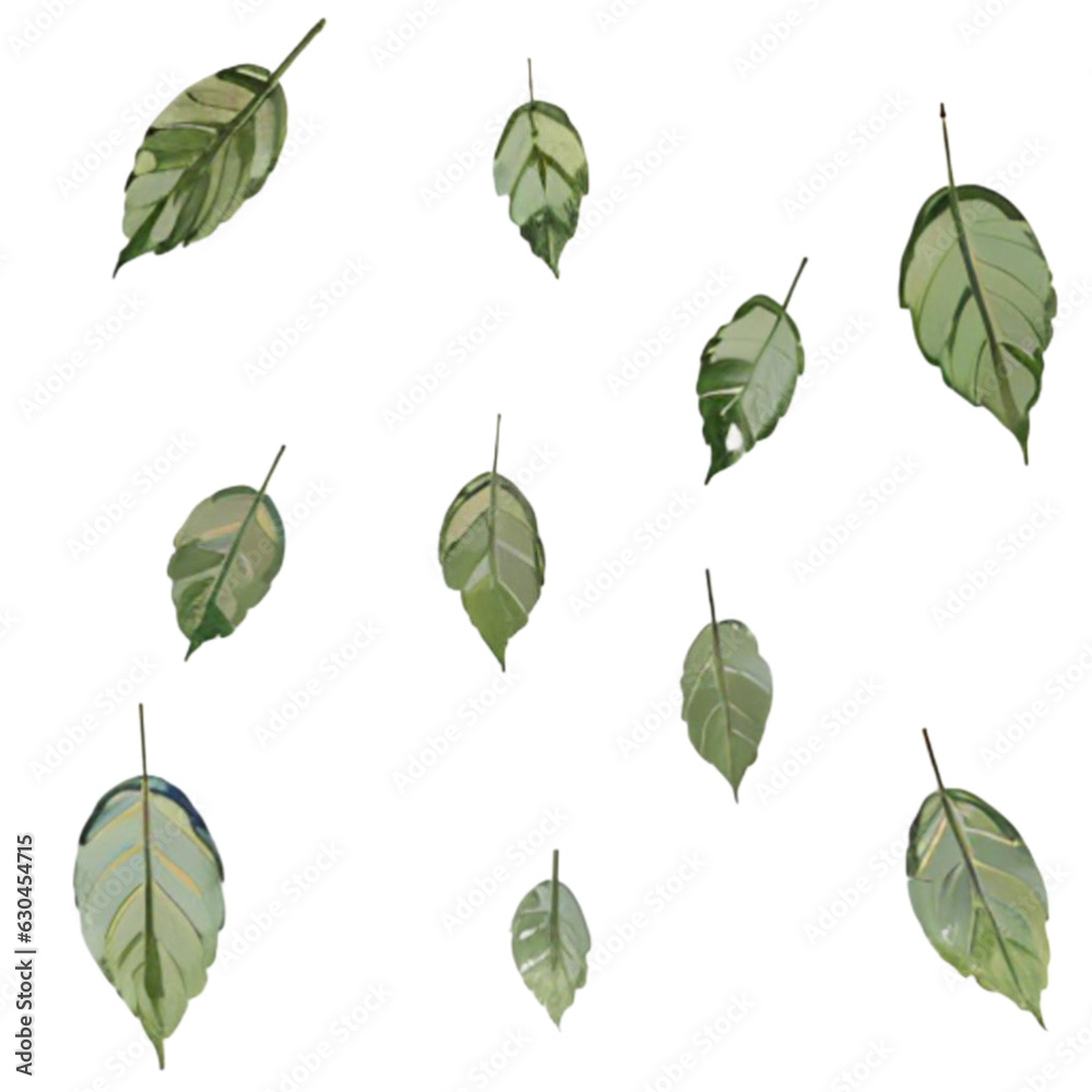 set of green falling leaves isolated on white background set of green falling leaves isolated on white background