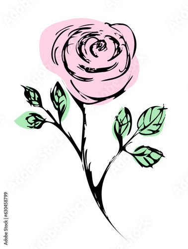 Różowa narysowana róża