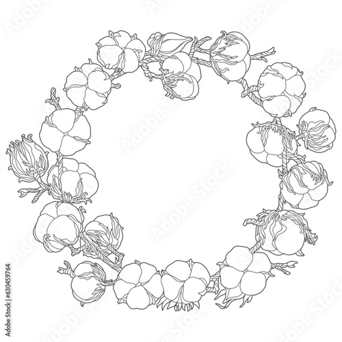 A vector black and white image of a round frame made of a group of opened and closed cotton bolls on a white background for design of text, label, greeting and invitation cards, an adult coloring book