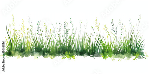 Foto Green watercolor grass blades weeds meadow isolated on transparent background pn