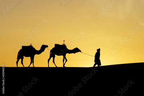 Sunrise silhouette of camels and handler  Merzouga