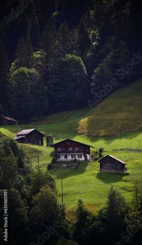 Casas rústicas en la montaña en un prado