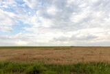 Rocky Mountain Arsenal National Wildlife Refuge Open Field Landscape