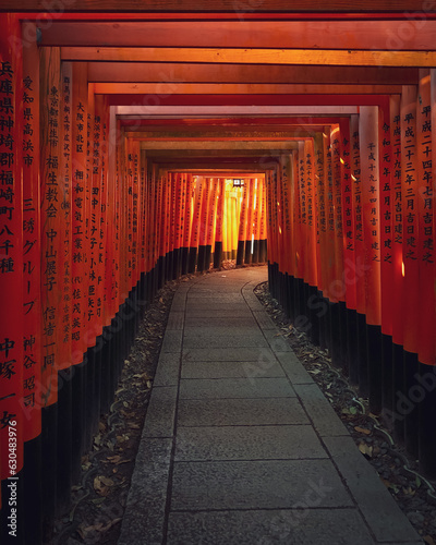 Fushimi Inari-taisha Shinto shrine in Kyoto, Japan during daytime