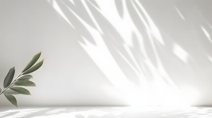 Blurred shadow from leaves plants on the white wall. Minimal abstract background for product presentation. Spring and summer.
