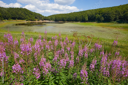 Bild auf Leinwand Lake Baccio in the Tuscan Emilian Apennines, Italy