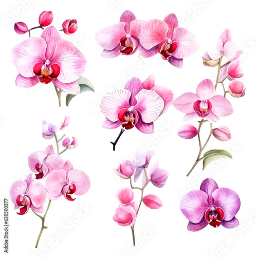Murais de parede Set of pink orchid floral watecolor