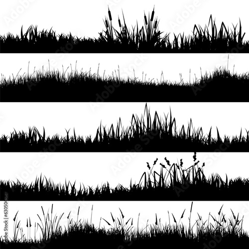 Meadow silhouettes with grass, plants on plain. Panoramic summer lawn landscape with herbs, various weeds. Herbal border, frame element. Black horizontal banners. Vector illustration