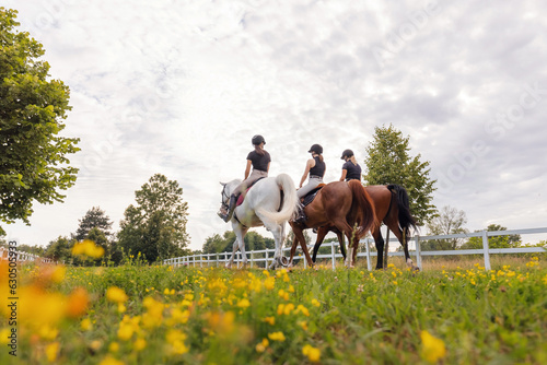 Three horsewomen enjoy riding beautiful horses, side by side along the trail at the equestrian center on a sunny day © 24K-Production