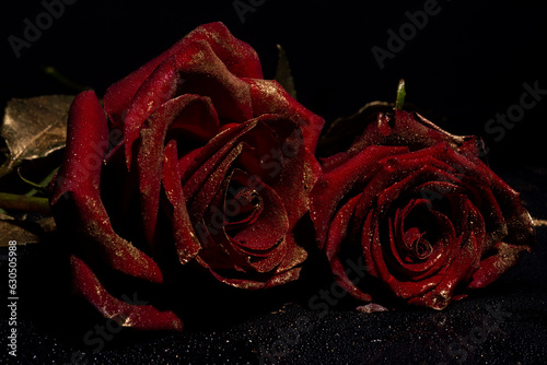 Fototapeta Naklejka Na Ścianę i Meble -  Rose with gold paint petals. Closeup of golden roses. Gold rose wallpaper. Gold roses flower, decorative rose design element, rose pattern. Love sexy and valentines day concept.