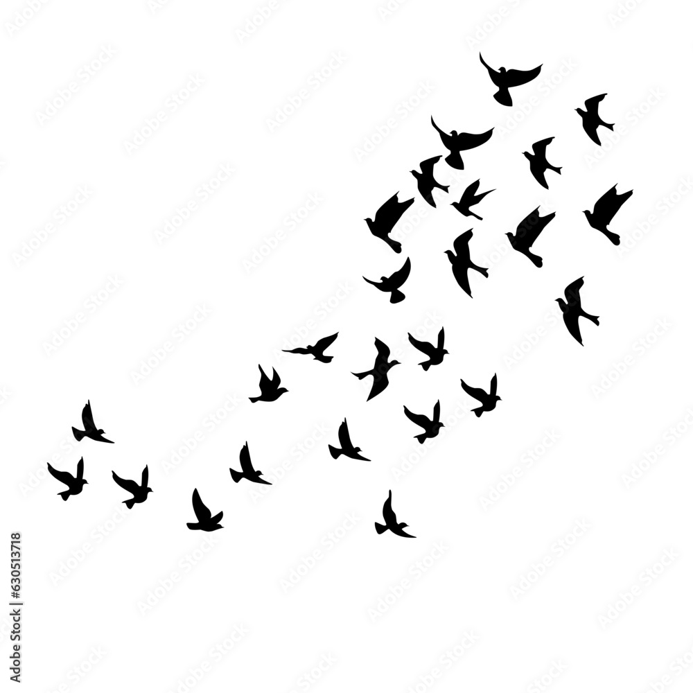 silhouette group of flying birds silhouette group of flying birds