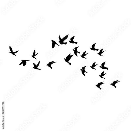 silhouette group of flying birds